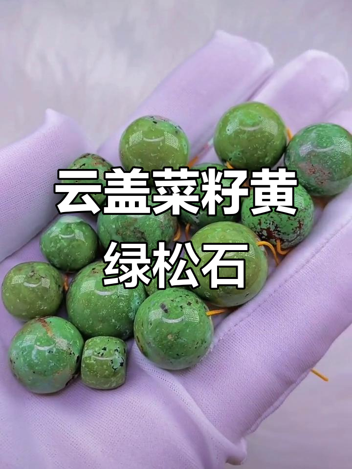云盖菜籽黄绿松石，客万级别珠子展示