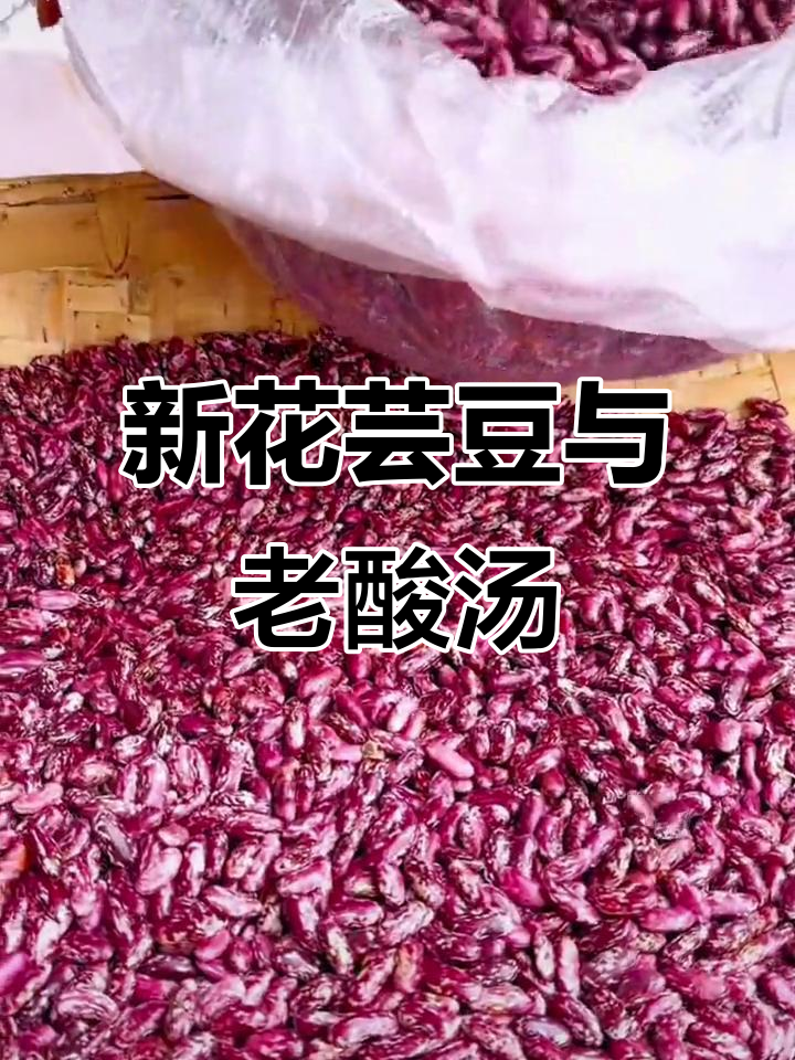 贵州新花芸豆,颗颗饱满圆润,酸汤面搭配最安逸