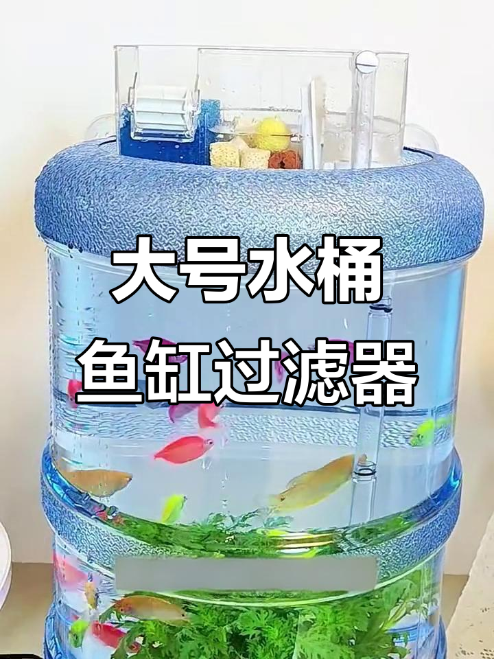 水桶鱼缸必备大号三合一过滤器，轻松过滤增氧