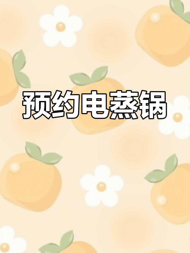 电蒸锅预约功能使用指南