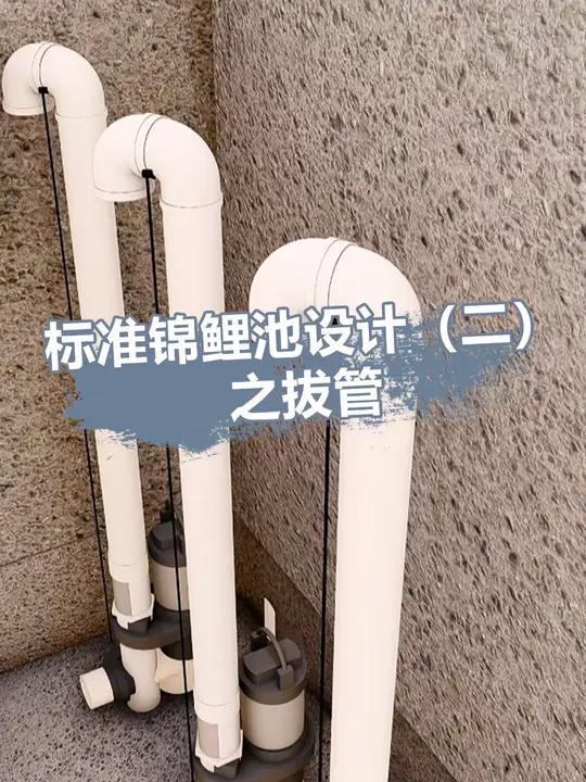 鱼池过滤水循环排污设计好，后期省时省力又省心 #鱼池过滤 #锦鲤鱼池 #鱼池过滤系统设计 