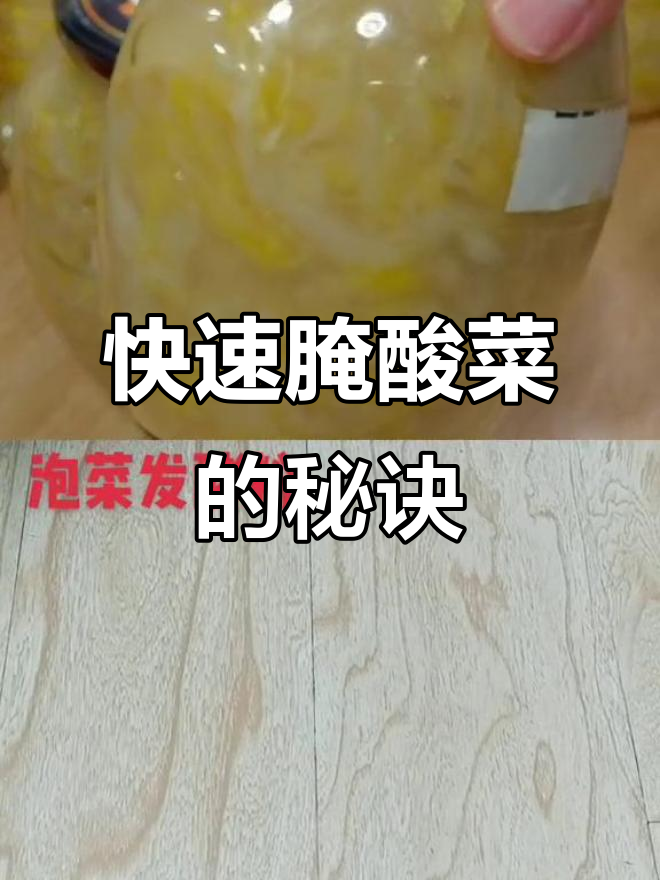 7天就能吃上正宗东北酸菜,泡菜发酵粉让腌制更简单
