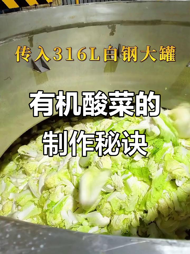 揭秘有机酸菜的独特制作工艺,从白菜到成品全过程