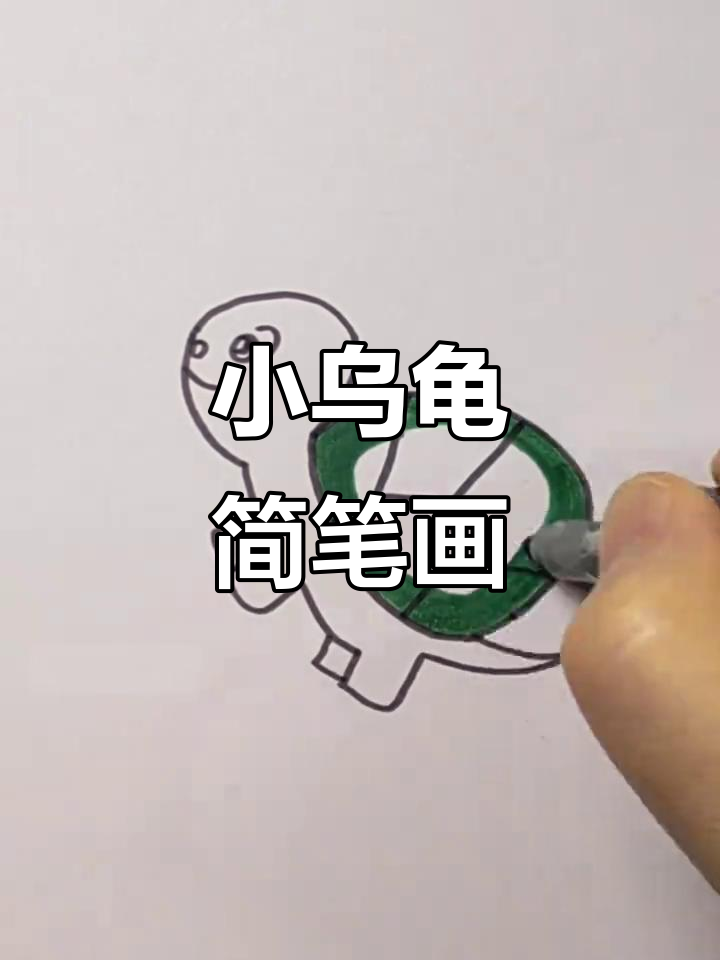 轻松画小乌龟,简单又可爱