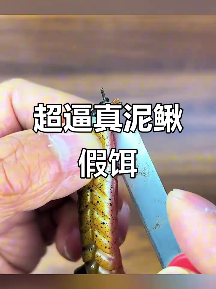 逼真泥鳅假饵,翘嘴桂鱼一网打尽