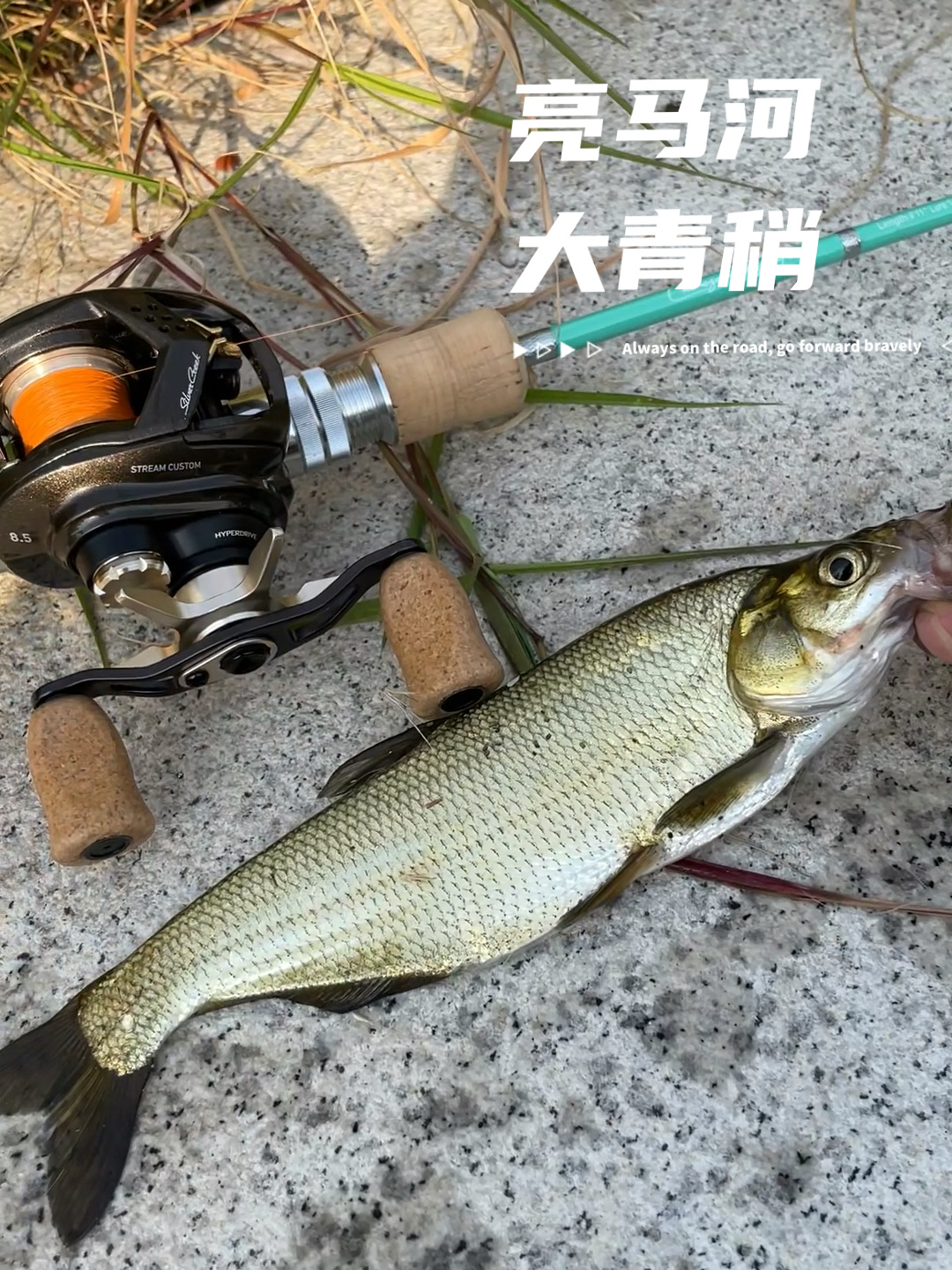 亮马河路亚,分享一下秋季路亚青稍的经验