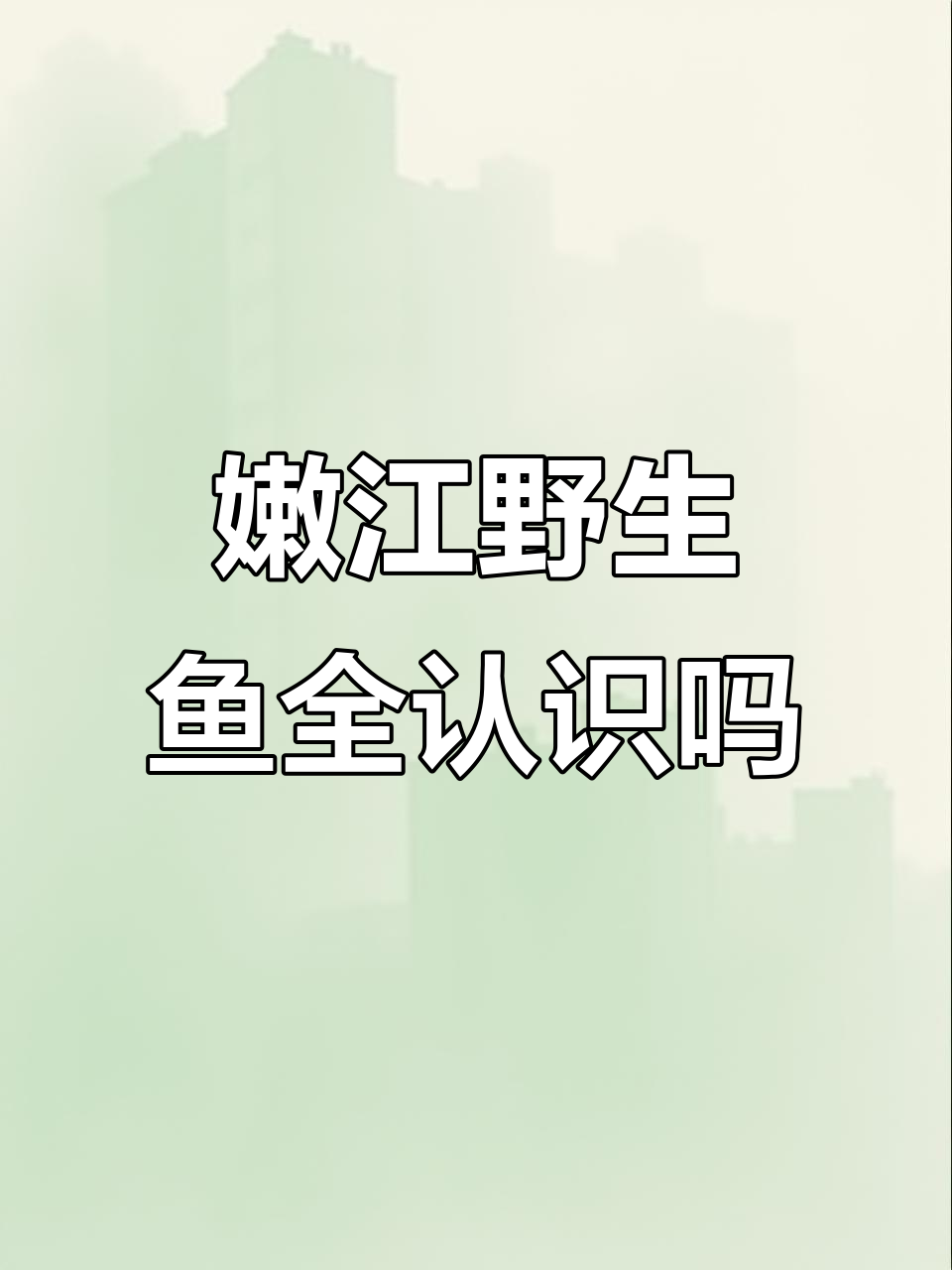 这些鱼你都能认出来吗?嫩江野生鱼类大揭秘