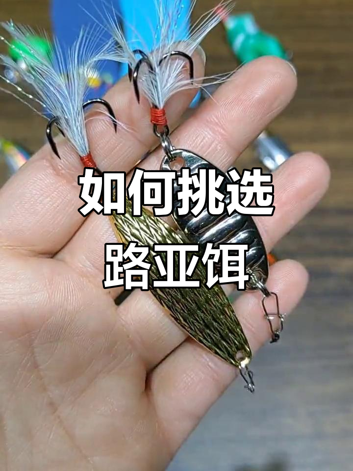 路亚钓法全解析：如何选择最适合的饵料