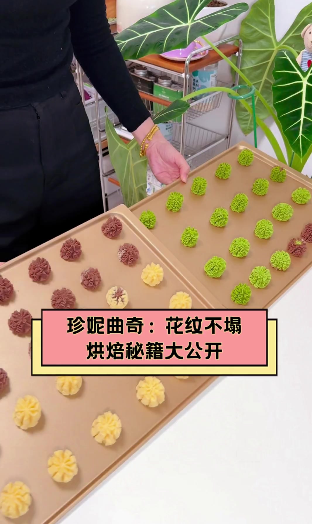 珍妮曲奇:花纹不塌,烘焙秘籍大公开