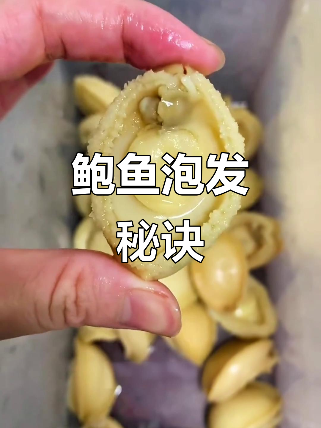 干鲍鱼泡发最佳方法:换水2-3天,营养不流失