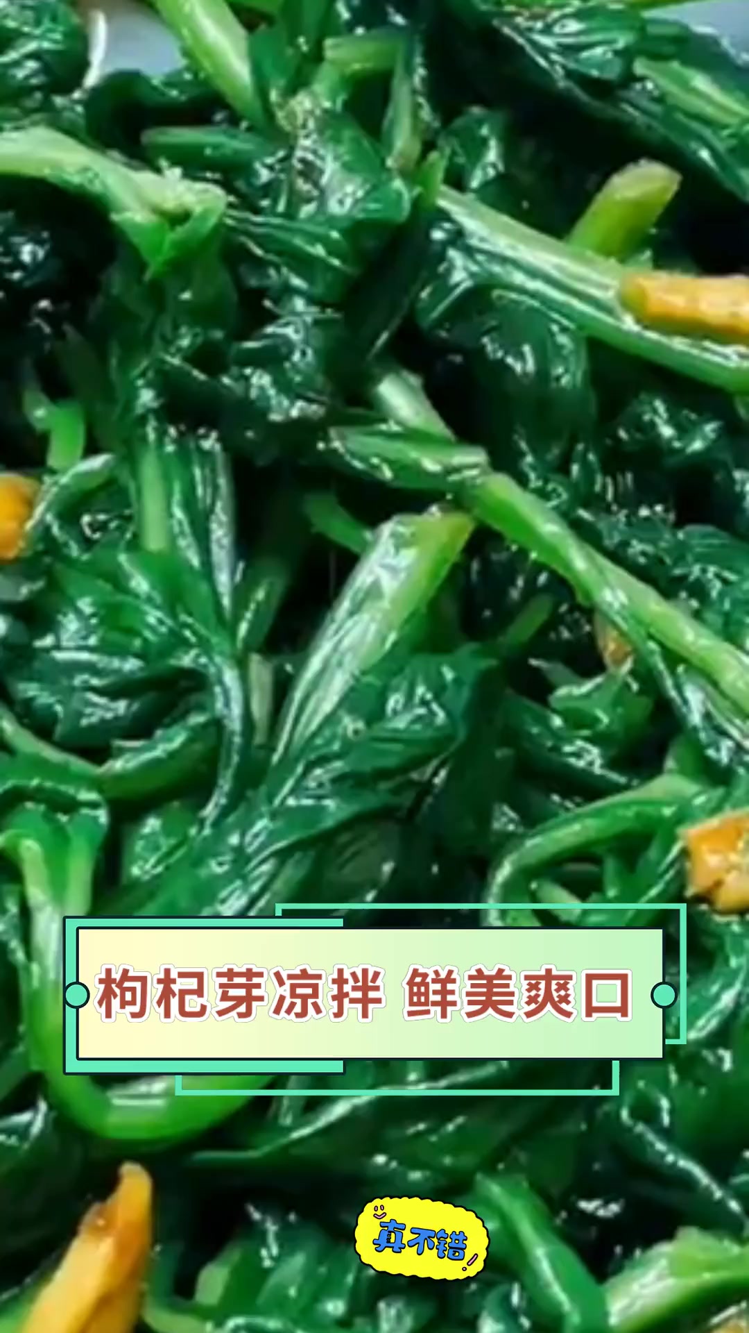 枸杞芽凉拌 鲜美爽口