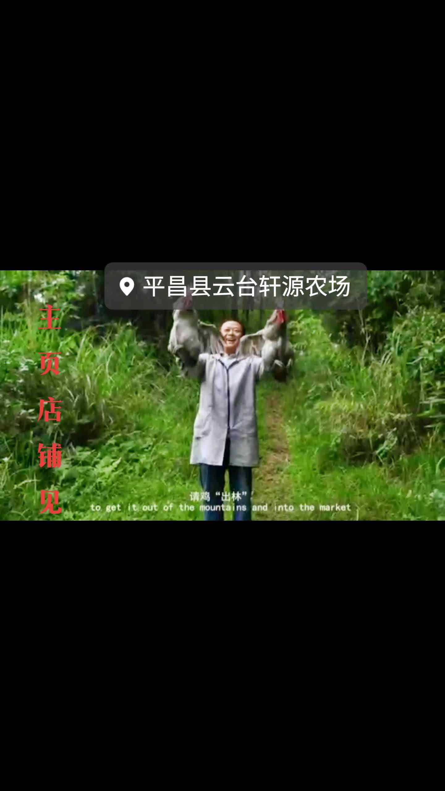 抖音新农人 生态散养土鸡 特色农产品 土特产走出大山 轩源农场 总有部分家人咨询,可点头像