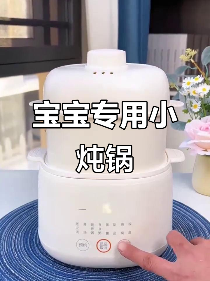 九阳电炖锅,宝宝辅食与汤粥必备神器