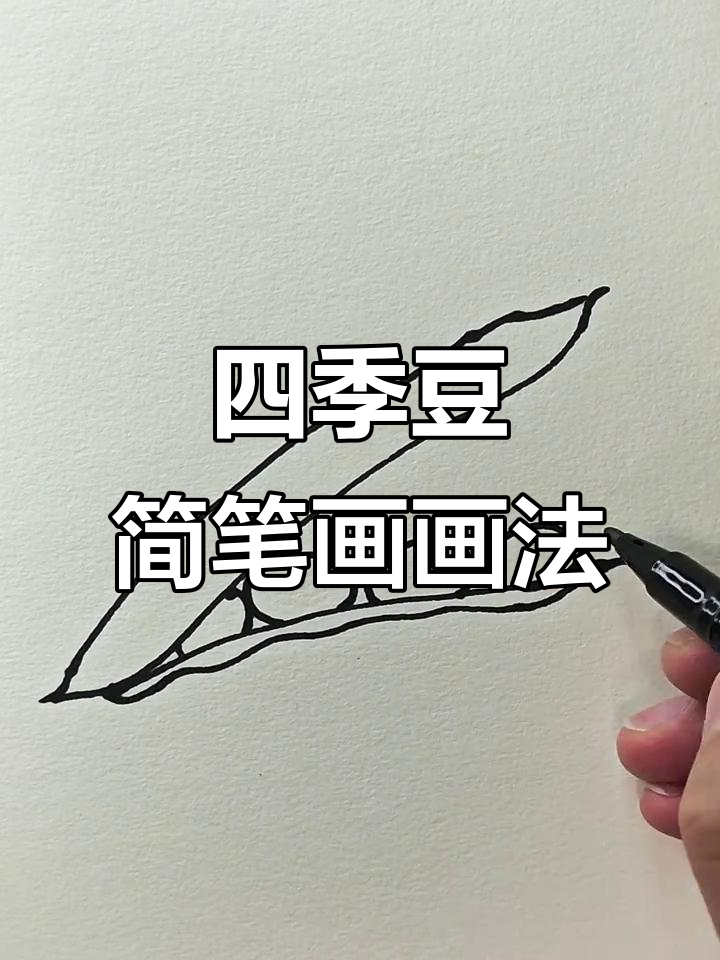 四季豆简笔画,轻松学会画蔬菜
