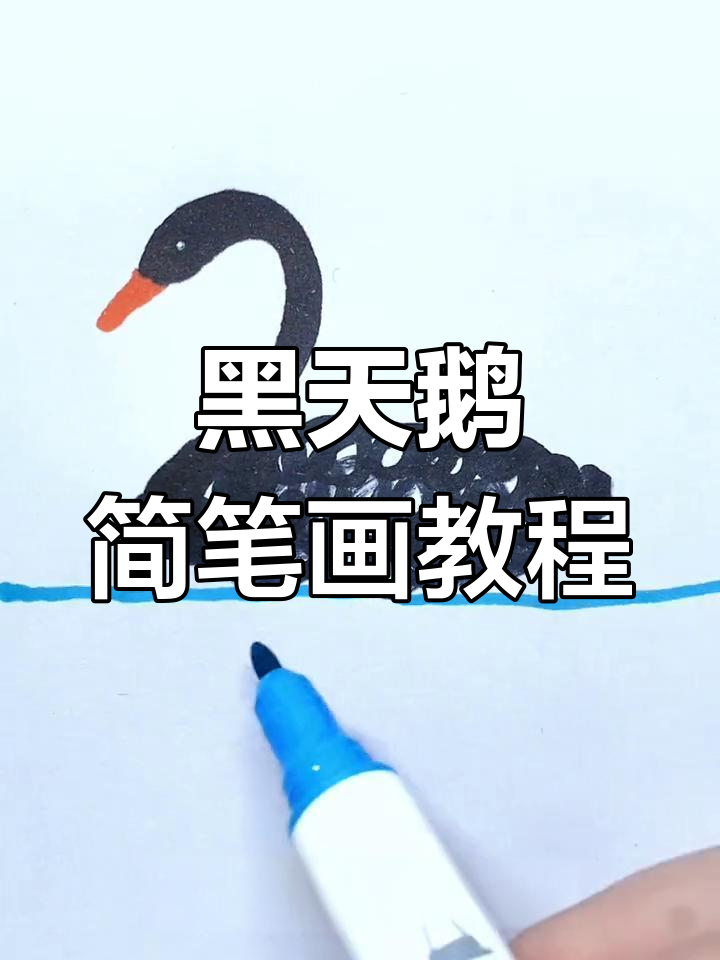 简单黑天鹅画法,轻松学会