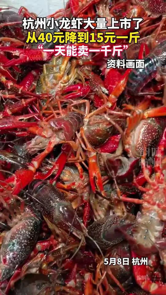 来杭州吃小龙虾吗?杭州小龙虾大量上市(来源:浙江经视)