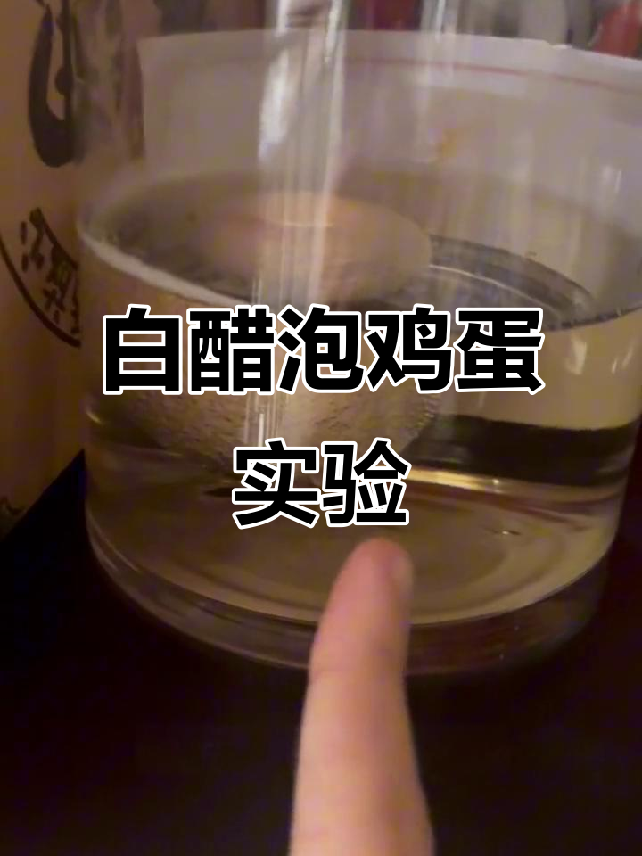 鸡蛋泡白醋实验:从泡泡到无壳蛋的神奇变化
