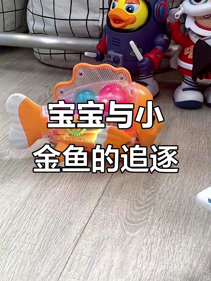 这只透明小金鱼让宝宝着迷,追了一整天都不肯放手!