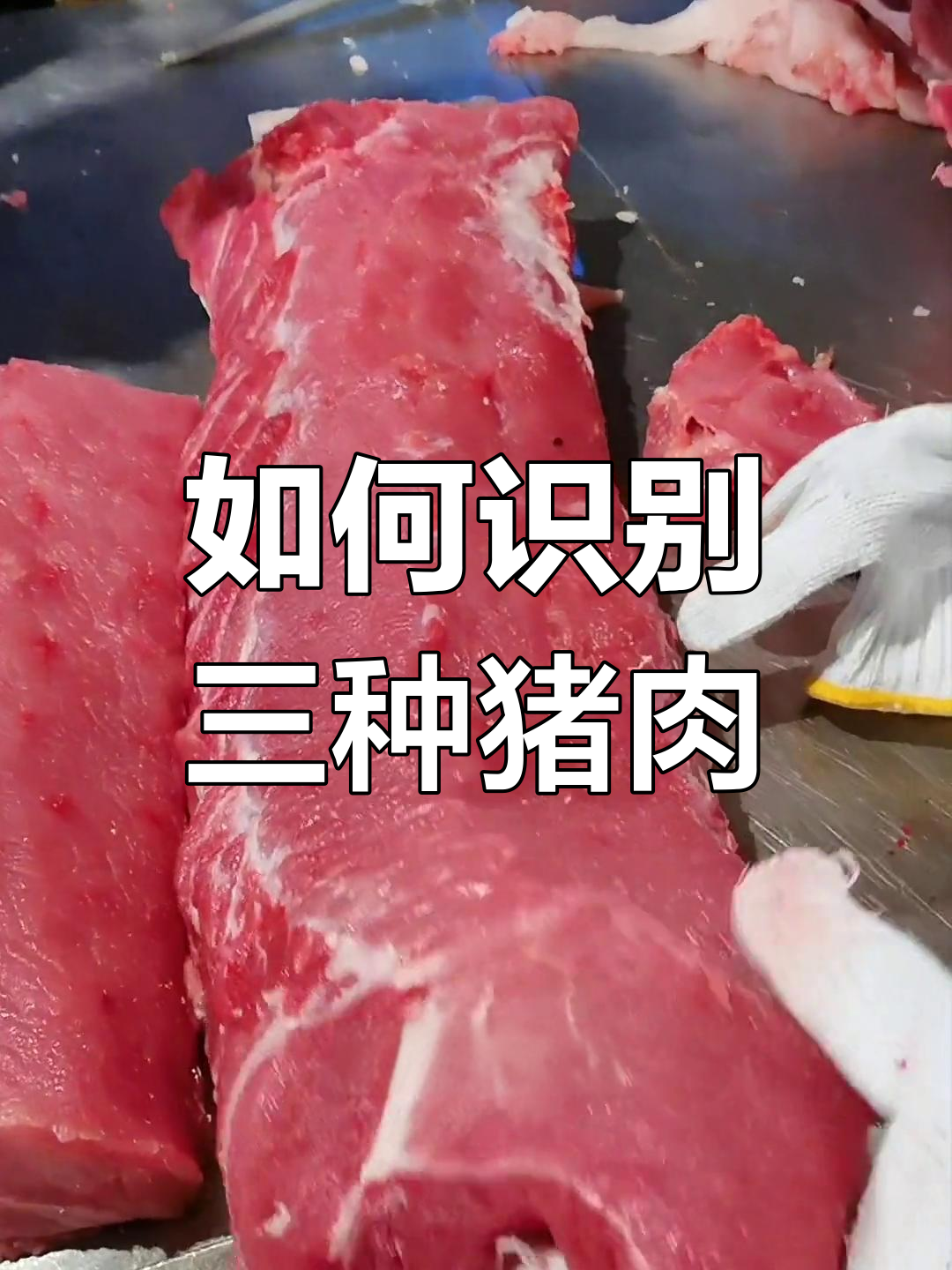 猪肉种类大揭秘,如何辨别母猪、土猪和瘦肉型?