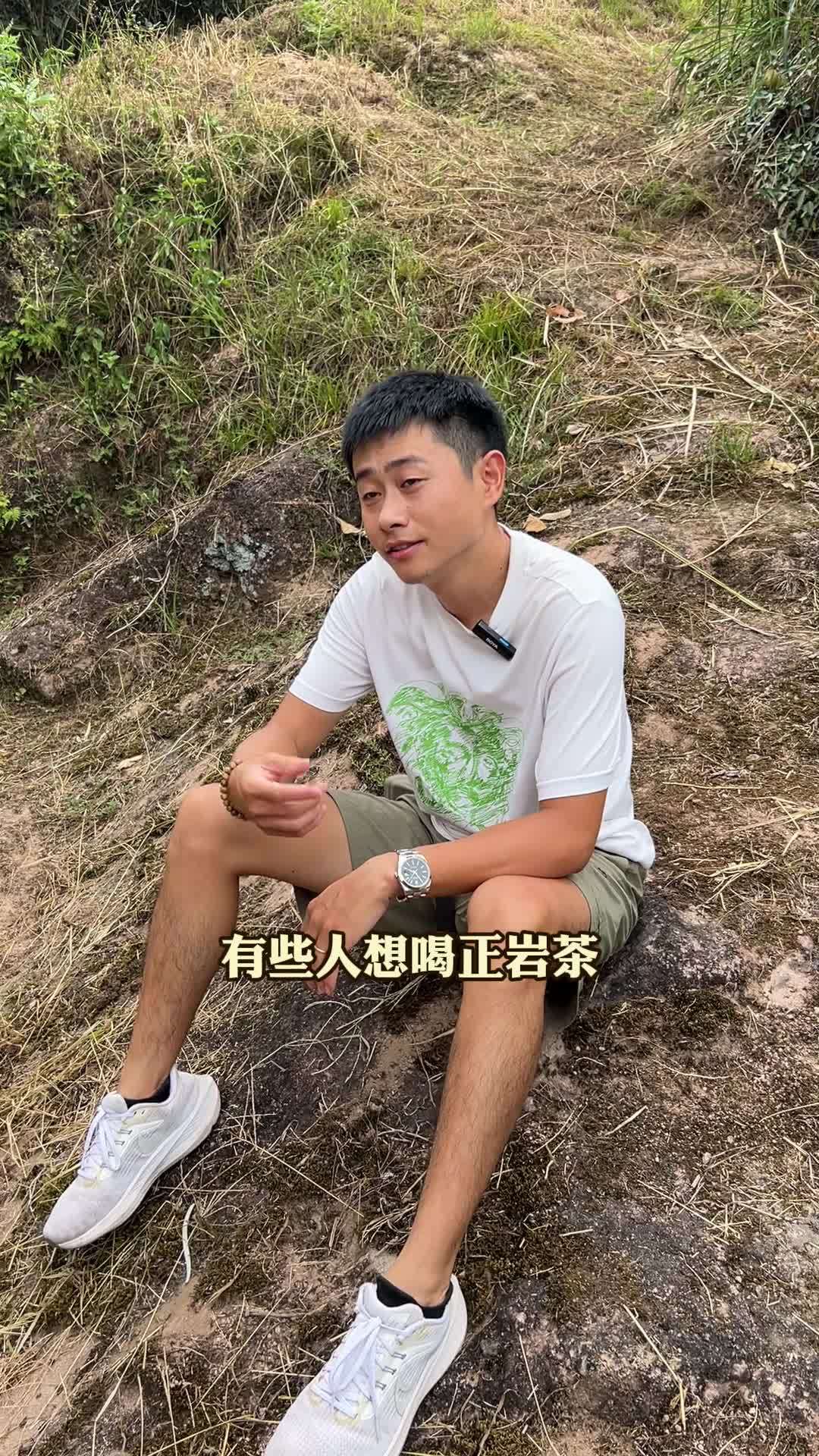 正岩好口粮 虎啸岩肉桂