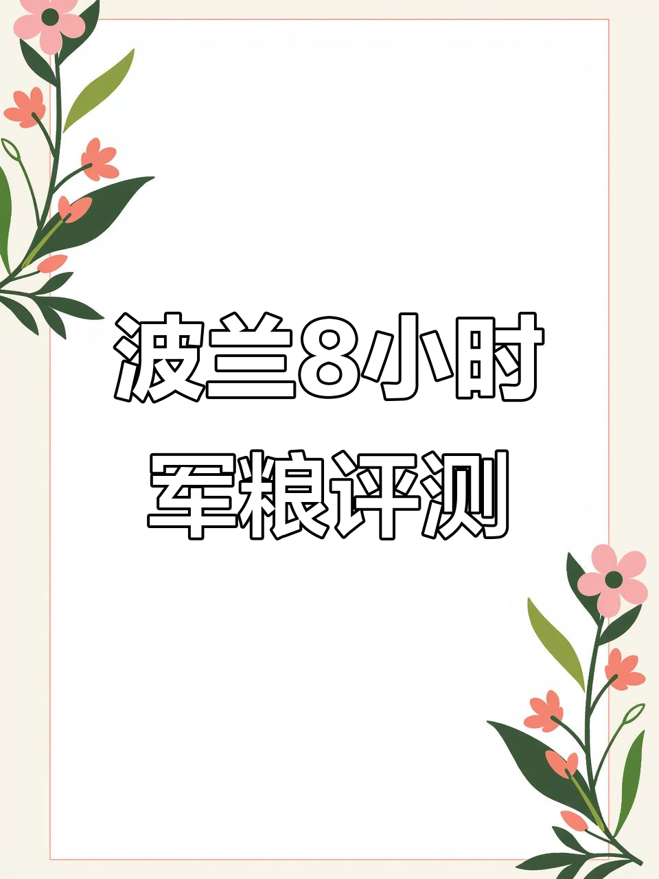 波兰8小时单兵口粮测评:饼干、罐头与巧克力的完美搭配