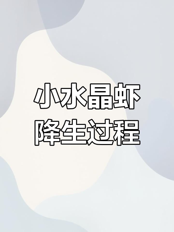 水晶虾宝宝出生,退壳生死时速!