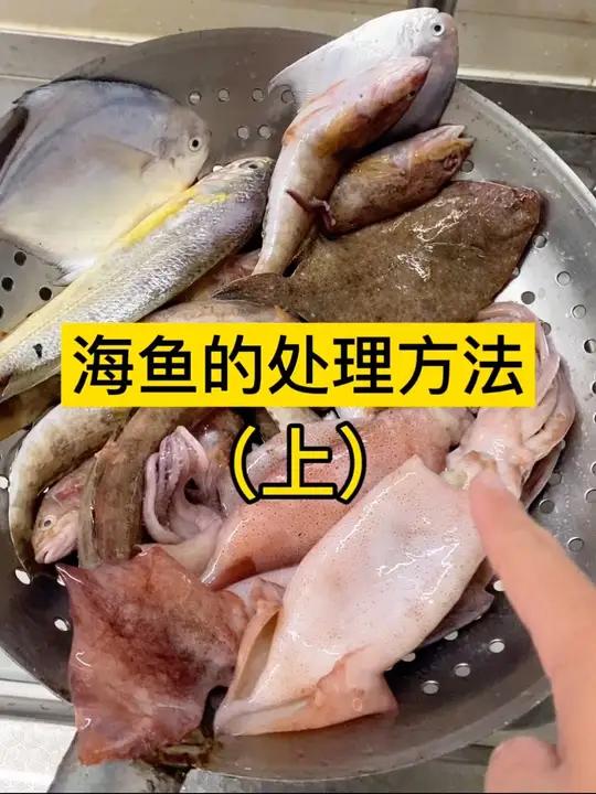 海鱼的处理方法。鱿鱼、鲳鱼、黄鱼、黄花鱼、偏口鱼 海鱼怎么处理 海鱼做法