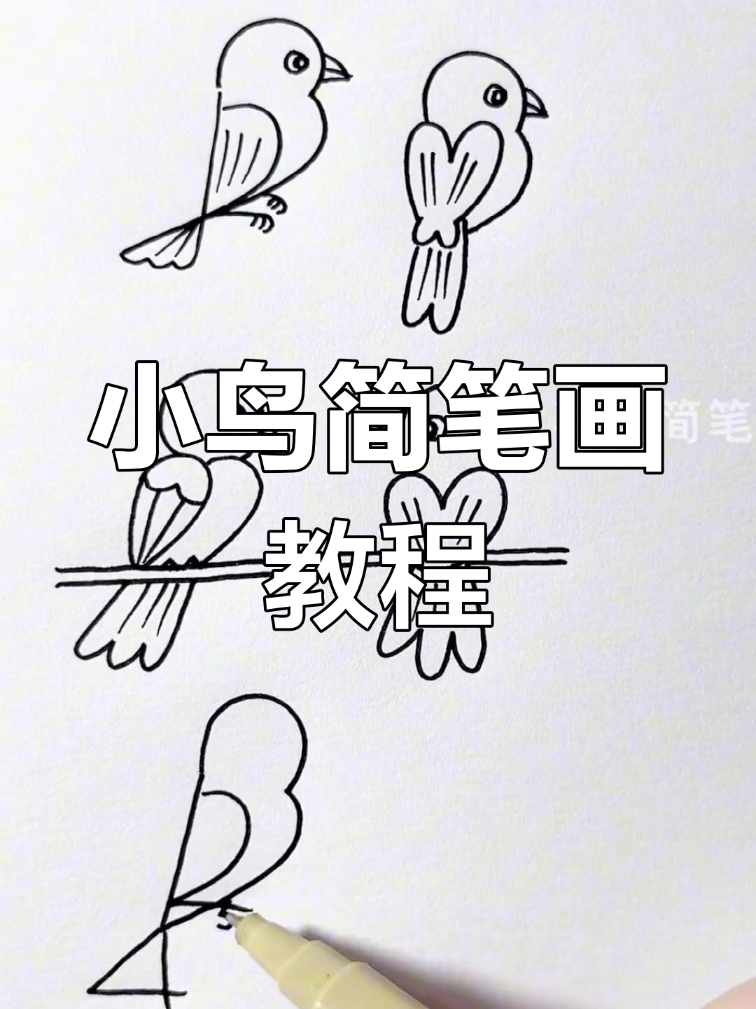 六种简单的小鸟画法,轻松学会