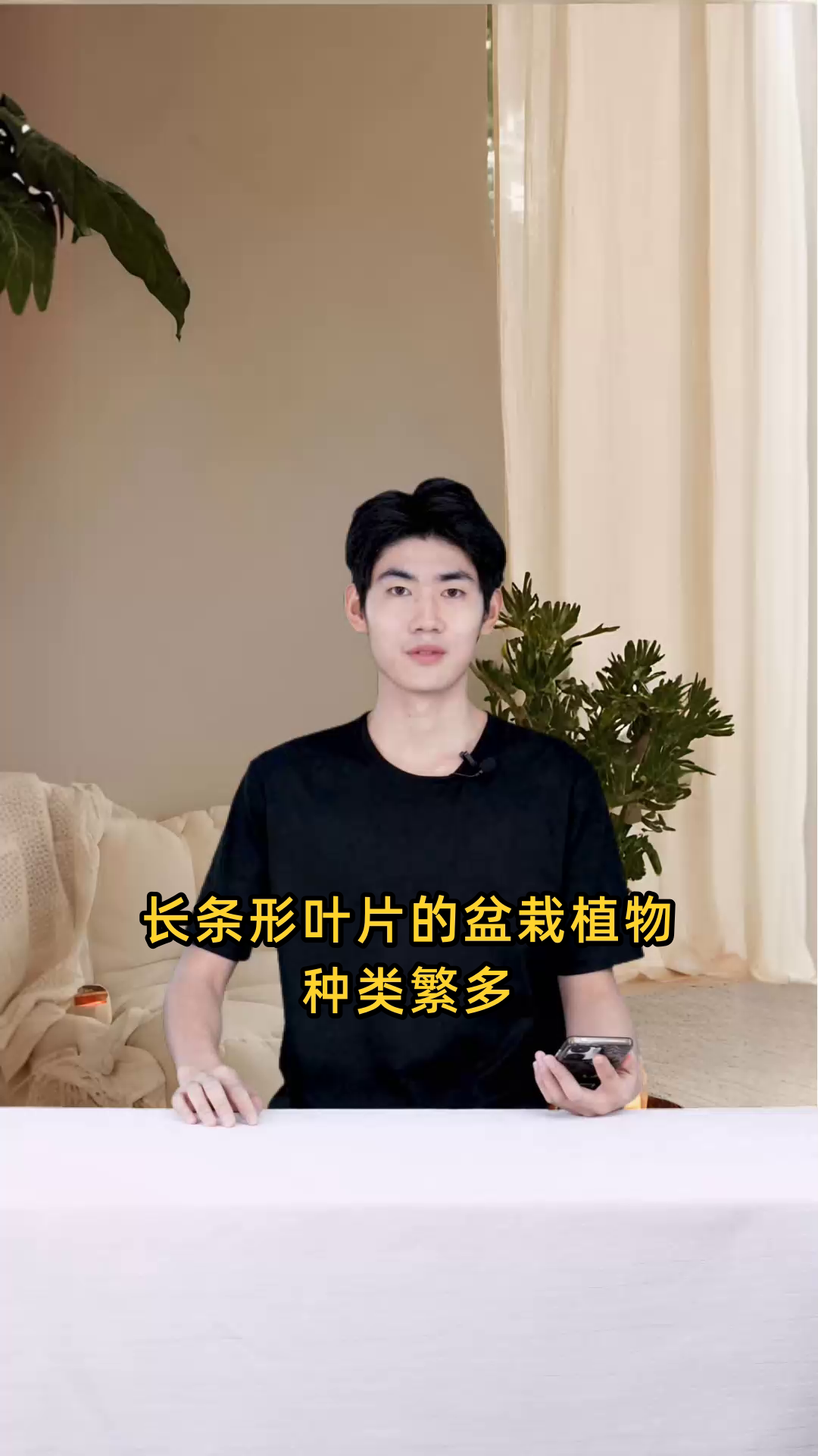 具有长条形叶片的盆栽植物通常都有哪些品种名称?