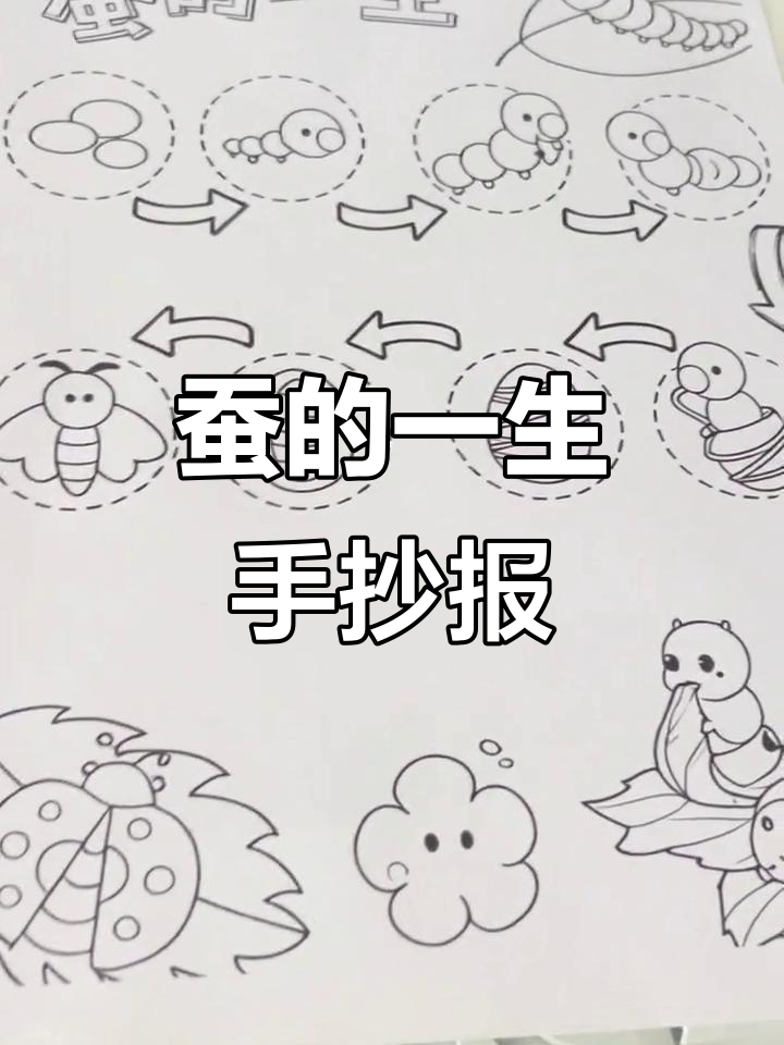 竖版蚕宝宝成长全纪录,手抄报线稿轻松打印