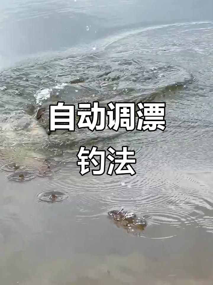 浮漂自动调节,钓鱼更轻松!