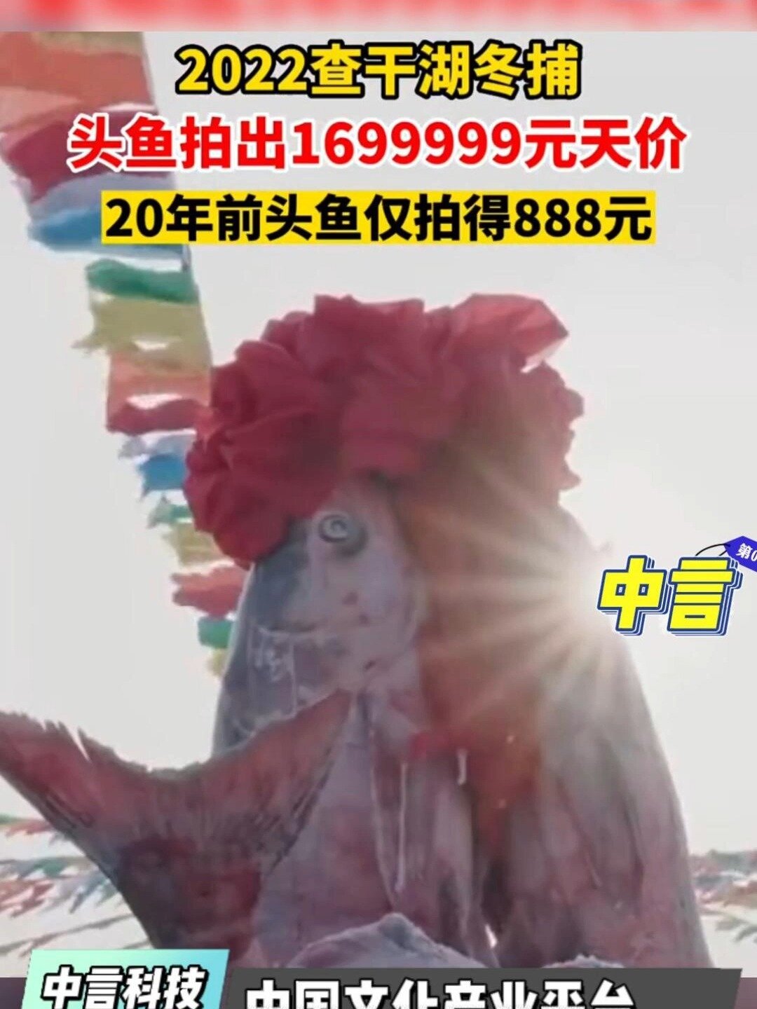 查干湖冬捕节头鱼拍卖1699999元!