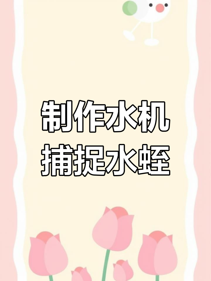 水蛭诱捕技巧大揭秘:如何用石头和布设置陷阱