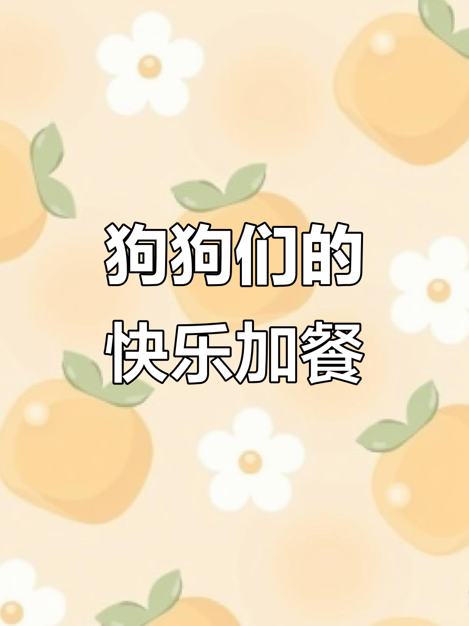 流浪狗的幸福时光，双汇火腿肠和鸡肉干大餐