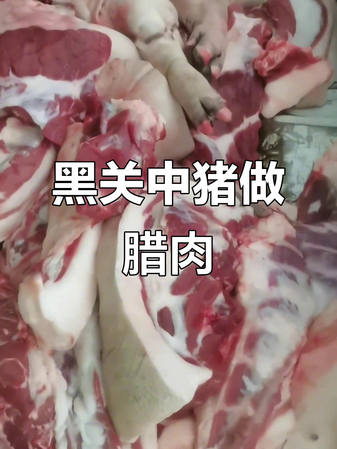 散养黑关中猪肉制作腊肉,现场实拍正宗土味美食