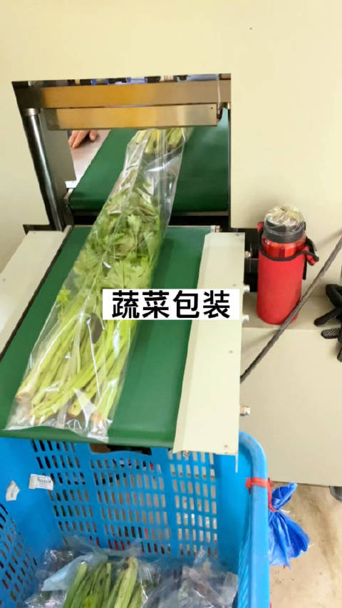 青菜叶菜自动包装机 蔬菜芹菜打包套袋机 蔬菜包装机 枕式包装机 工厂实拍视频