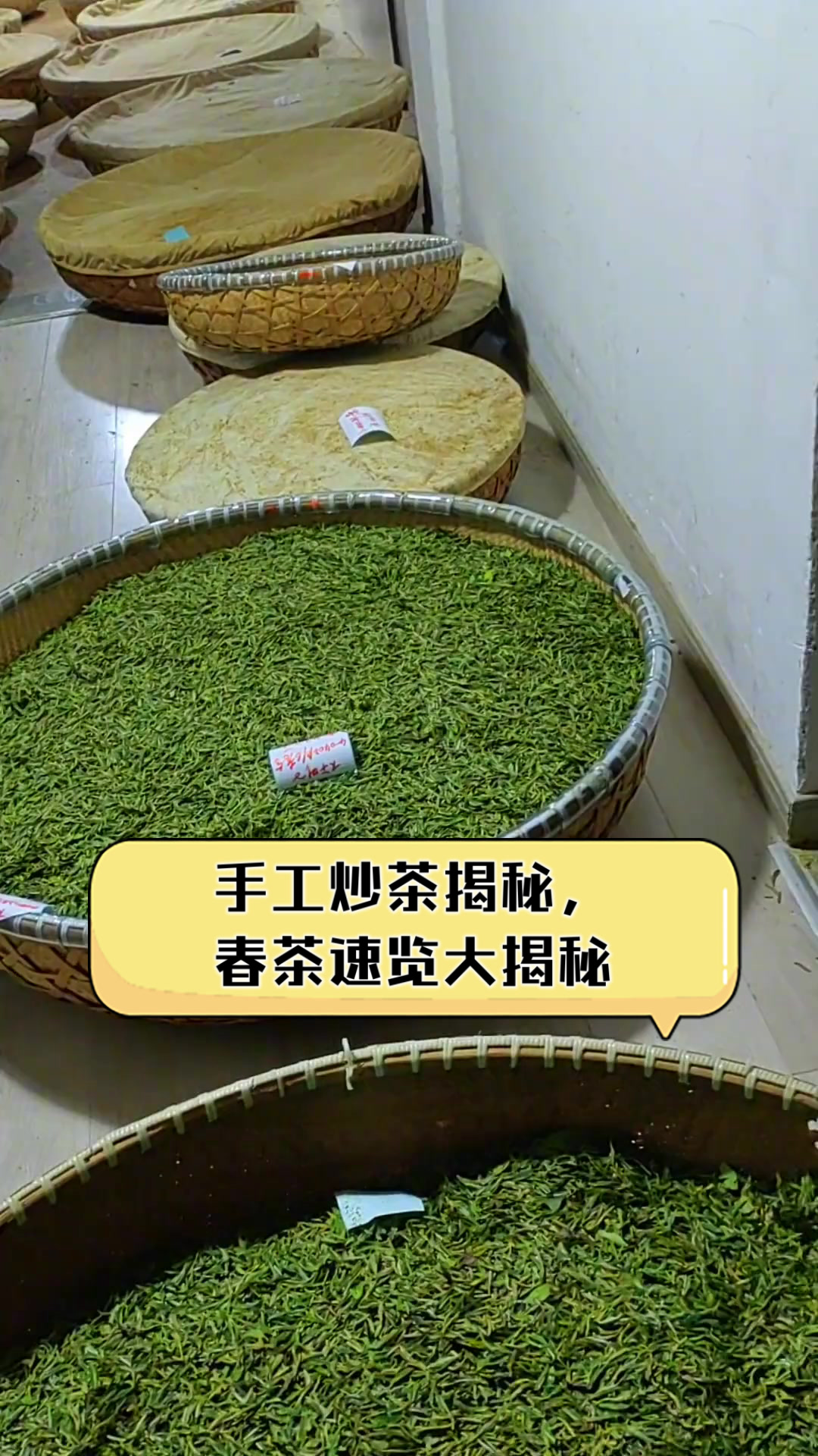 手工炒茶揭秘，春茶速览大揭秘