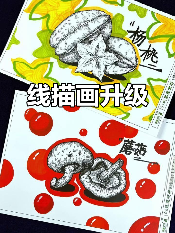 全新线描画,正反面设计,40张速学PPT助力课堂