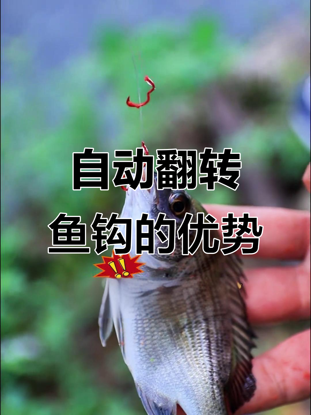 传统钩子与翻转鱼钩对比,吸进去就再也吐不出来