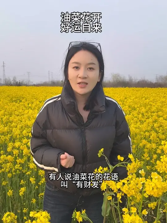 油菜花的花语“有财发”,油菜花开,好运自来～