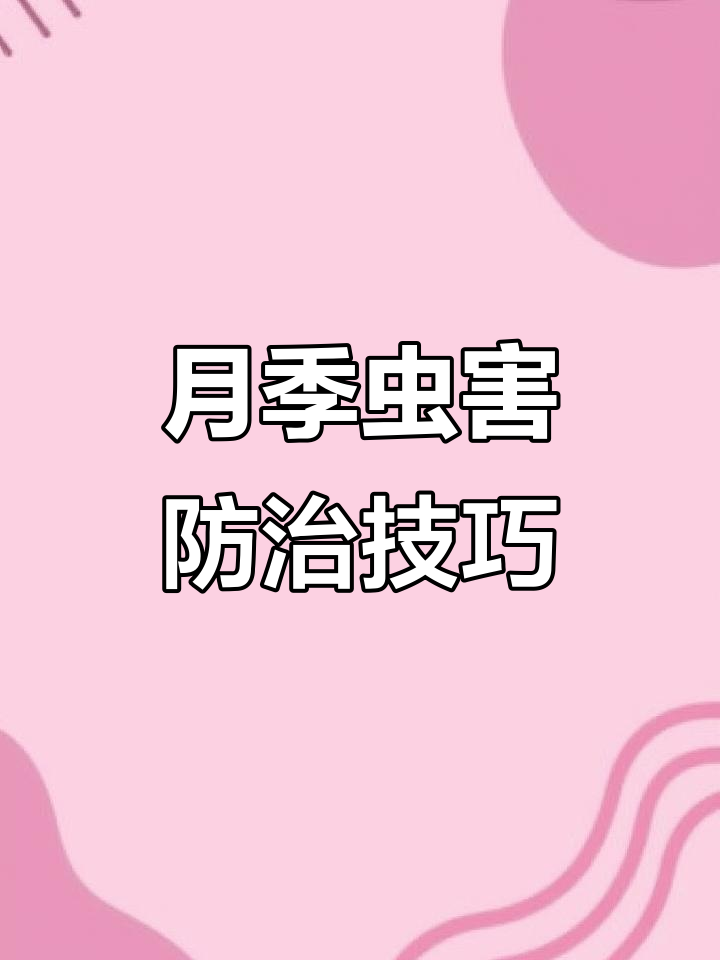 轻松搞定害虫问题,月季园里的小白药妙招
