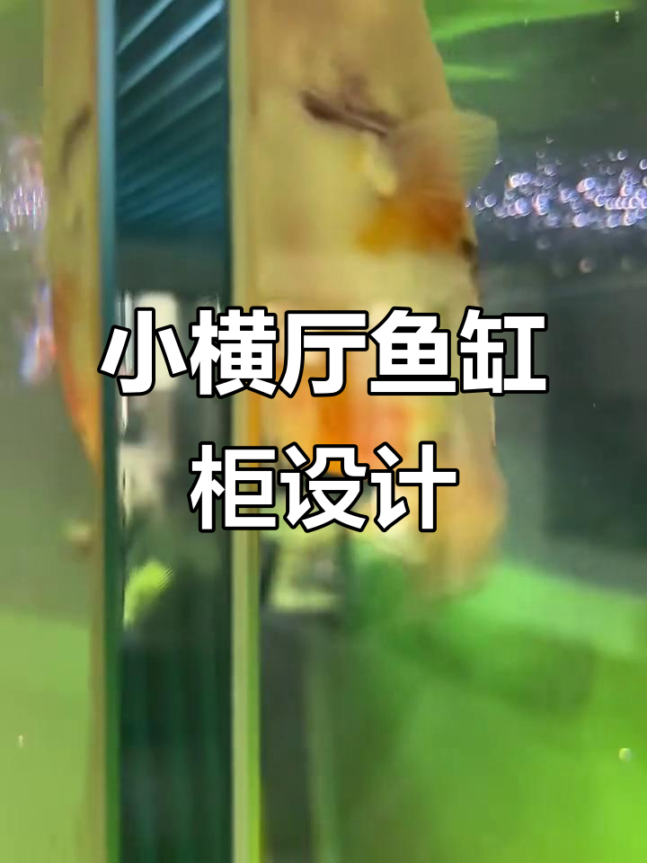 1.2米鱼缸与小横厅完美搭配，玄关设计感满分