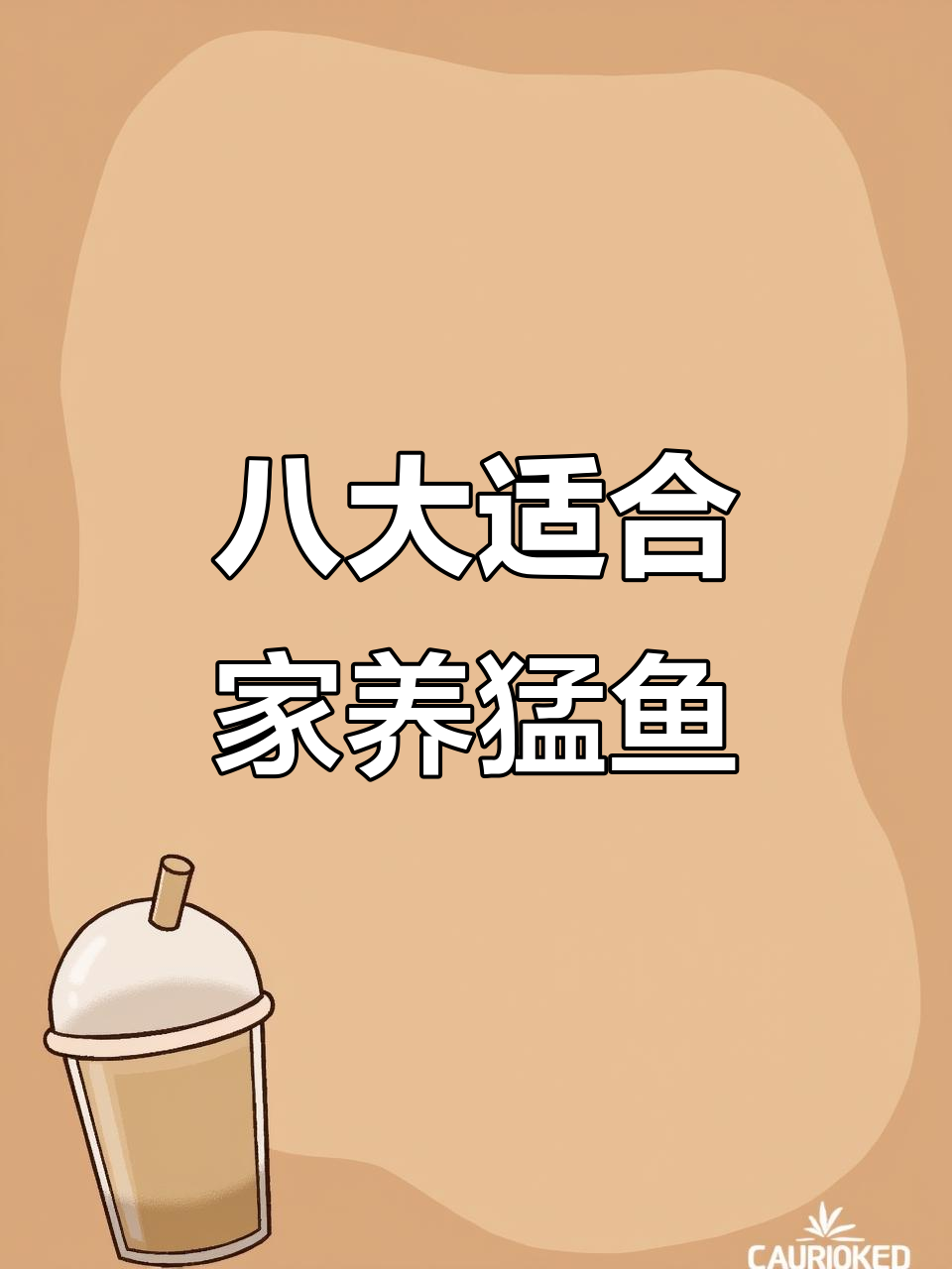 八种便宜又好养的猛鱼,铅笔鱼最易上手