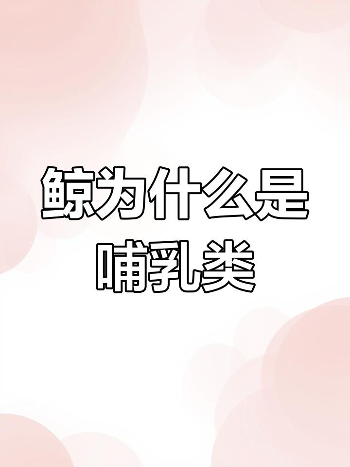 鲸鱼为何不是鱼类?揭秘哺乳动物的特征