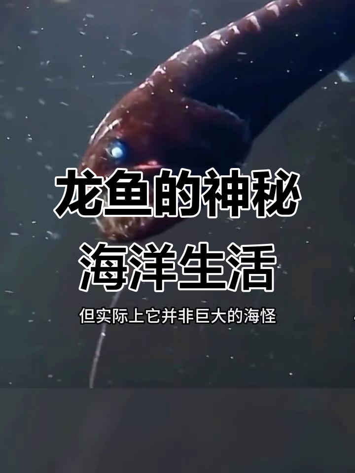 深海龙鱼:伪装大师与致命光芒的捕食技巧