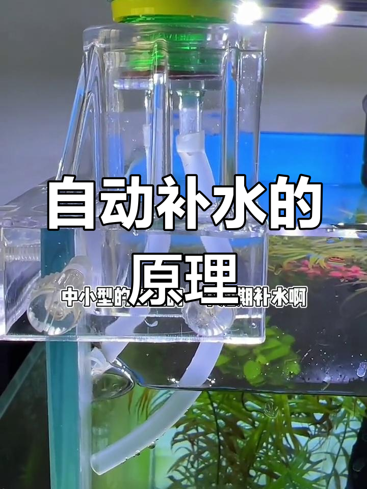 鱼缸自动补水器制作教程