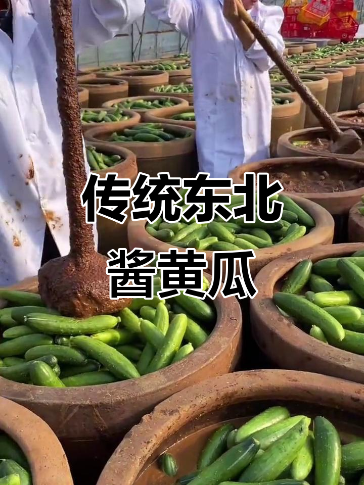 正宗东北农家酱黄瓜,百年腌制工艺,味道一绝