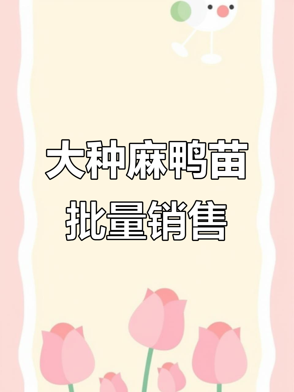 贺州富阳客户采购5000羽大种麻鸭苗，疫苗齐全、成活率高