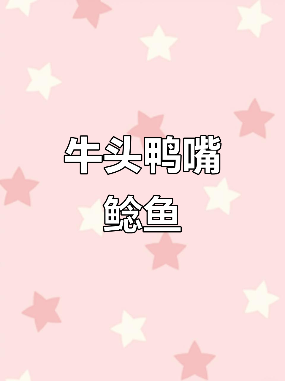 南美缸中的神秘工具鱼,牛头鸭嘴鲶鱼的独特魅力