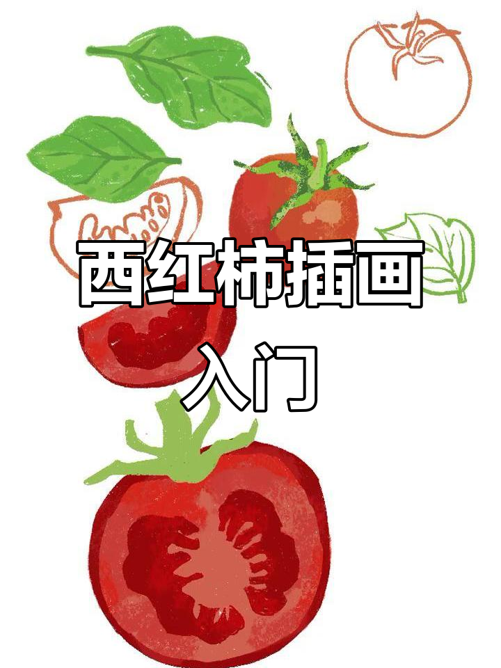 蔬菜插画练习：从西红柿开始，零基础也能轻松上手